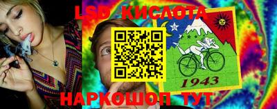 бошки Жуковский
